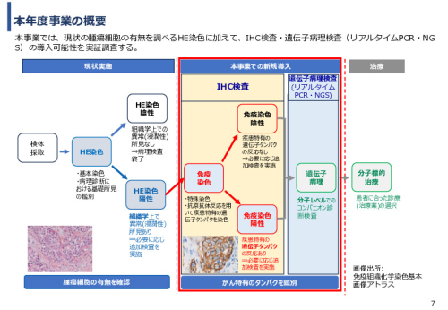 令和６年度「ケニアにおけるがん診断アクセス普及のための基礎プロジェクト」事業報告書